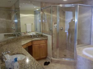 master bathroom before