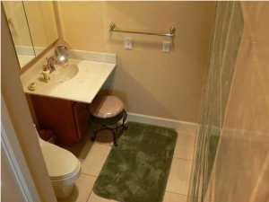 Master Bathroom Before