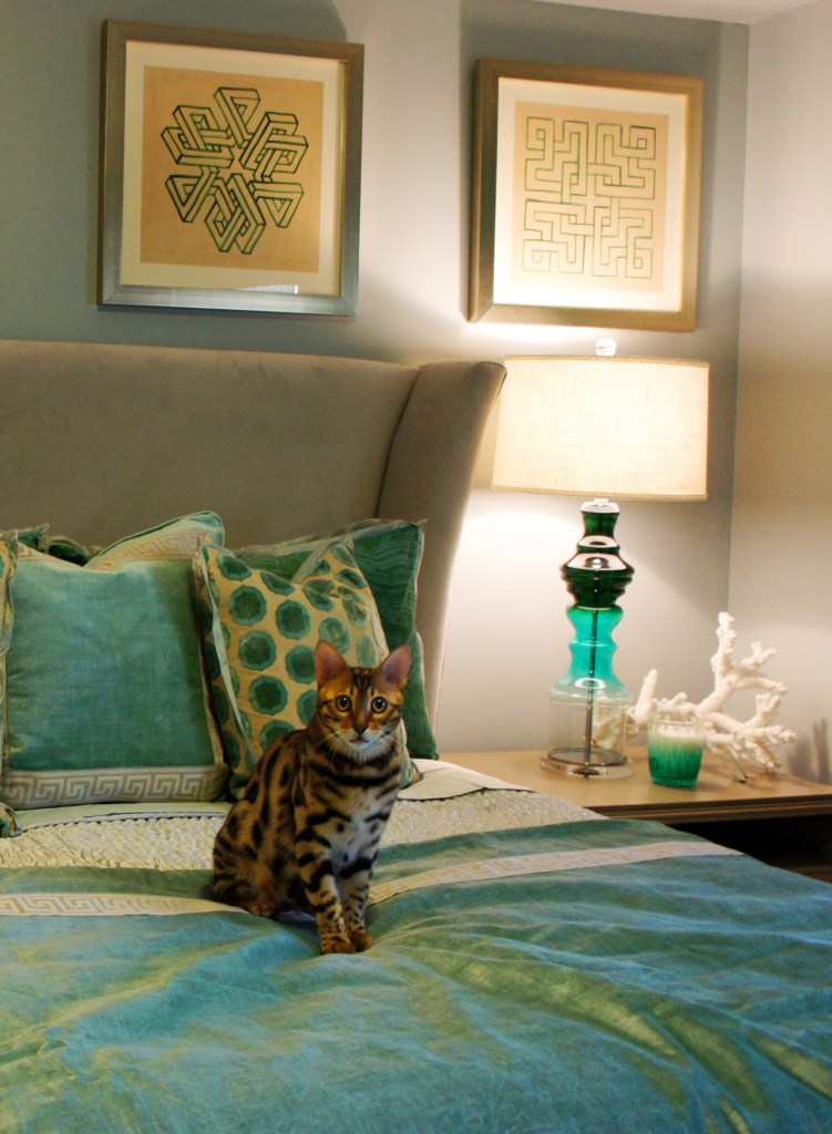 Gus, my client's handsome little Bengal kitty approves!