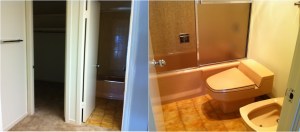 Master Bath shower/closet before: